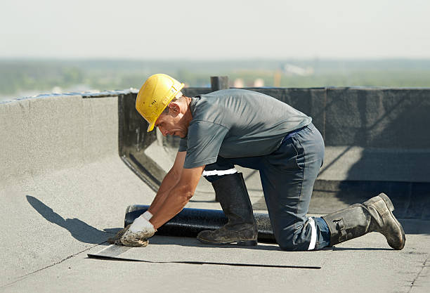 Insulation Replacement Services in Elmwood, LA