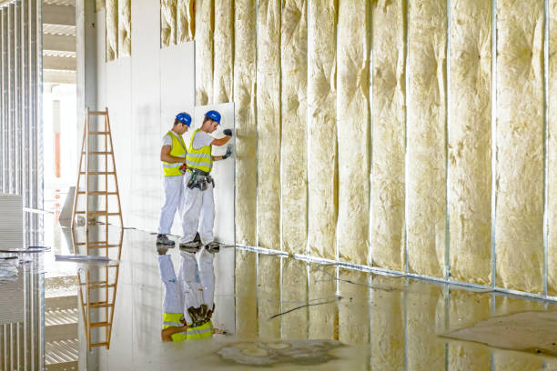 Best Blown-in Insulation  in Elmwood, LA